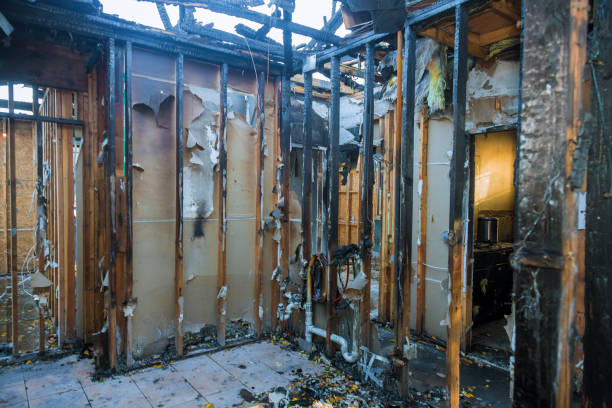 Professional Soot Cleanup technician working in Langley, WA